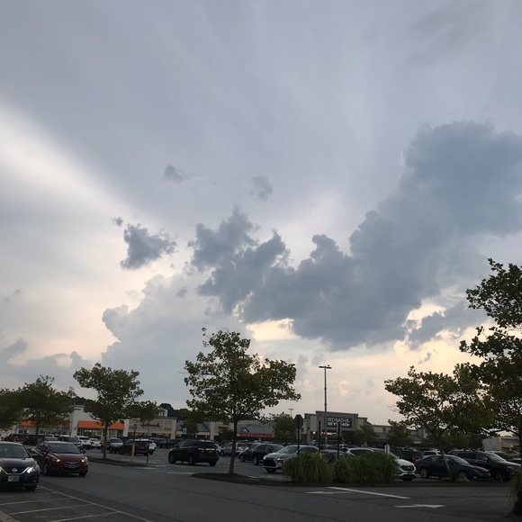 Meet your Posher, Emilia - Picture 1 of 1